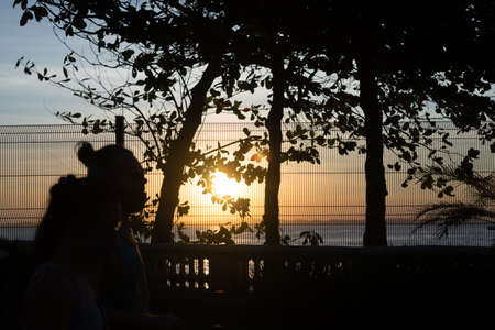 Salvador, Bahia, Brazil - June 12, 2021: Silhouette of a tree at sunset at Farol da Barra in Salvador, Bahia.のeditorial素材