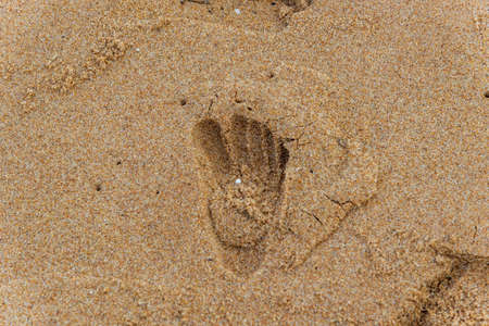 Footprints and shapes in the brown sand of the famous Rio Vermelho beach. City of Salvador, Bahia, Brazil.の写真素材