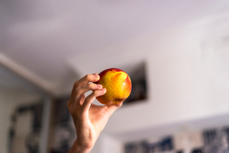 A hand holding an apple against white background. Salvador, Bahia, Brazil.の写真素材