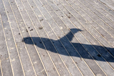 Shadow of a person reflected on the wooden floor of a pier. Salvador, Bahia, Brazil.の写真素材