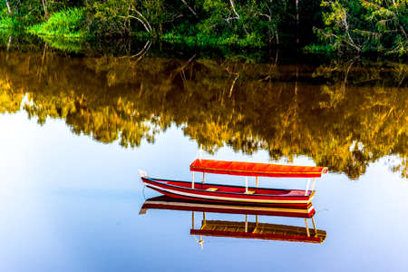 Boat stopped on the river against forest background. Nilo Pecanha, Bahia, Brazil.