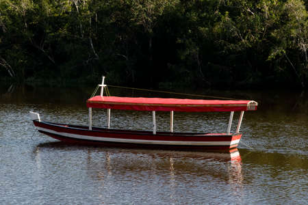 Boat stopped on the river against forest background. Nilo Pecanha, Bahia, Brazil.