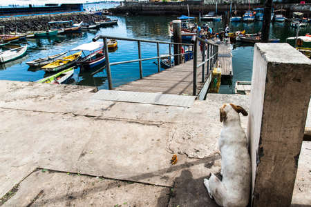 Salvador, Bahia, Brazil - April 06, 2019: View of people walking in the alleys of the Sao Joaquim fair in Salvador in the Brazilian state of Bahia.のeditorial素材