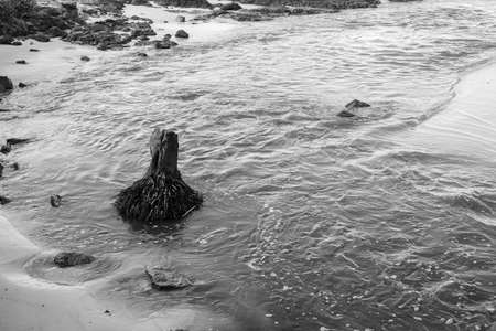 View of the river that flows into Boca do Rio beach in Salvador in the Brazilian state of Bahia.の写真素材