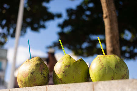 Three green coconuts with a straw inside. City of Salvador, Bahia, Brazil.の写真素材