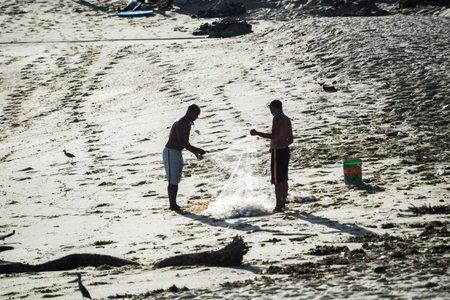 Salvador, Bahia, Brazil - November 01, 2021: Two fishermen collecting fishing net with fish on the beach of Rio Vermelho in Salvador, Bahia.のeditorial素材