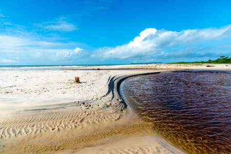 Reddish water of a river against the blue sky. Guaibim beach, coast of the sea of Bahia, Brazilの写真素材