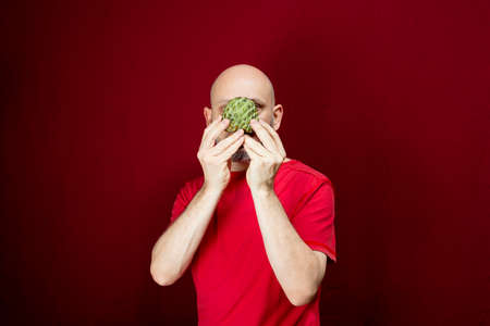 Young handsome man with beard, bald head and red shirt standing holding pinecone fruit in front of face against red background. Positive and healthy person.の写真素材