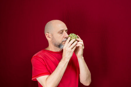 Young handsome man with beard, bald head and red shirt standing holding pinecone fruit against red background. Positive and healthy person.の写真素材