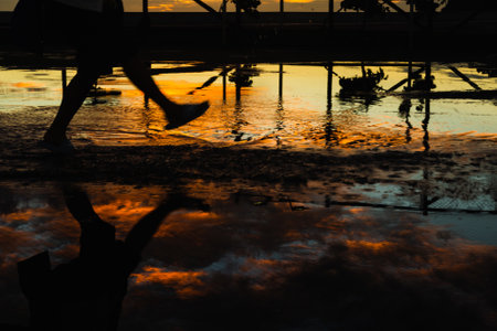 Silhouette of a person on a football court against dramatic sunset. Sunset after heavy rain. Salvador, Bahia, Brazil.の写真素材