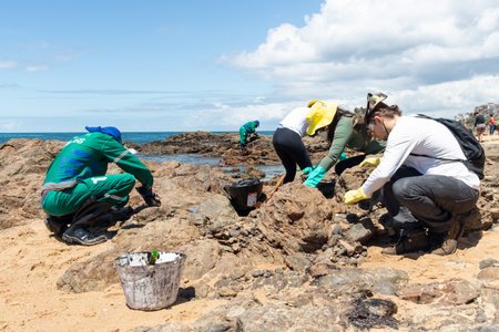 Salvador, Bahia, Brazil - November 03, 2019: Volunteers clean up oil at Rio Vermelho beach in the city of Salvador. The site was affected by an oil spill off the coast of Bahia.のeditorial素材