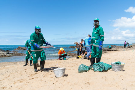 Salvador, Bahia, Brazil - November 03, 2019: Cleaning agents and volunteers extract oil from Rio Vermelho beach in the city of Salvador. The site was affected by an oil spill off the coast of Bahia.のeditorial素材