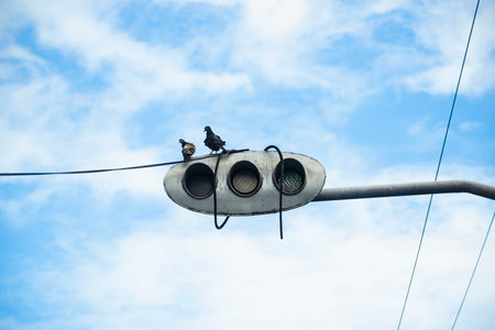Two pigeons sitting at the traffic light against blue sky with clouds. Beautiful day. Salvador, Brazil.の写真素材