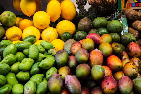 Melons and mangoes ready for sale at the fair. Organic concept.の写真素材