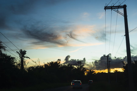 Silhouette of trees and electricity wires at sunset. Dramatic sky.