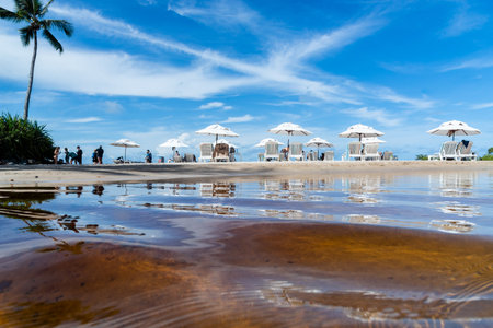 Cairu, Bahia, Brazil - January 19, 2023: People sitting on chairs by the water at Morro de Sao Paulo beach, in the city of Cairu.のeditorial素材