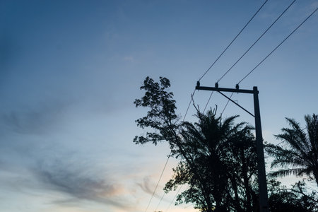 Silhouette of trees and electricity wires at sunset. Dramatic sky.の写真素材