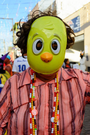 Maragogipe, Bahia, Brazil - February 27, 2017: A person dressed in character participating in the carnival in the city of Maragogipe, in Bahia.のeditorial素材