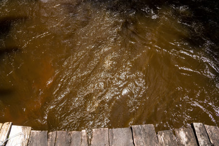 A calm river in the deep forest. City of Valenca, Bahia.の写真素材