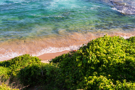 Ocean seen from above with trees and rocks. Postcard from Salvador, Brazil.の写真素材