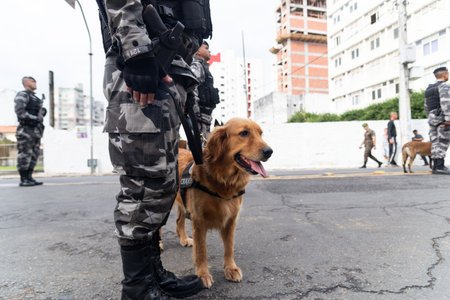 Salvador, Bahia, Brazil - September 07, 2022: Soldiers and dogs of the military police of Bahia are stopped and waiting for the beginning of the parade of the day of the Brazilian independence, in the city of Salvador.のeditorial素材