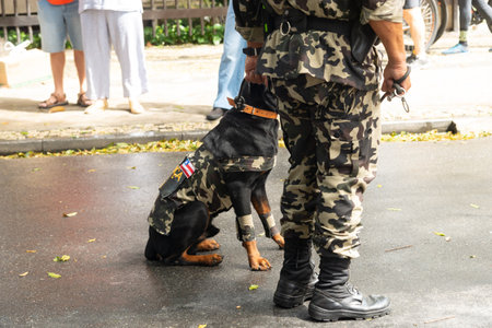 Salvador, Bahia, Brazil - September 07, 2022: Military police dogs are seen during the Brazilian independence military parade in the city of Salvador.のeditorial素材