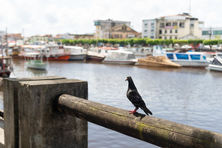 Valenca, Bahia, Brazil - January 10, 2023: Panoramic view of the river Una and the edge of the city of Valenca with commercial buildings. Bahia Brazil.のeditorial素材