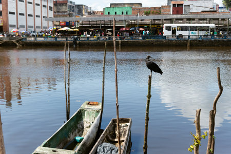 Valenca, Bahia, Brazil - January 10, 2023: View of the river Una surrounded by plants, trees and commercial buildings. Tourist city of Valenca in the Brazilian state of Bahia. navigable river.のeditorial素材