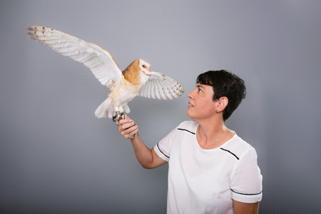 Photo of an owl with open wings in a woman's hand. Wild animals. Studio portrait against gray background.の写真素材