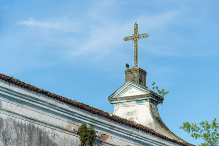 A black vulture standing beneath the cross of an old church. Abandoned place. wildlife.