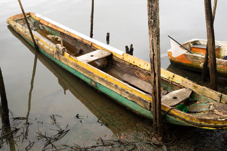 A fishing and transport canoe stops on the riverbank. Family support.の写真素材