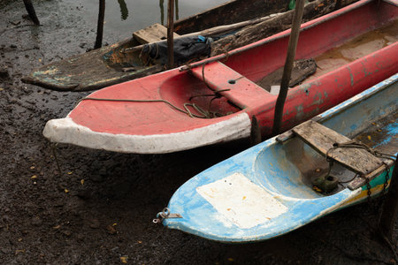 Detail of fishing and transport canoes docked on the river sand. Means of support for families.の写真素材
