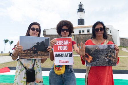 Salvador, Bahia, Brazil - November 11, 2023: Protesters hold posters and photos of the conflict in the Gaza Strip during a protest in the city of Salvador, Bahia.のeditorial素材