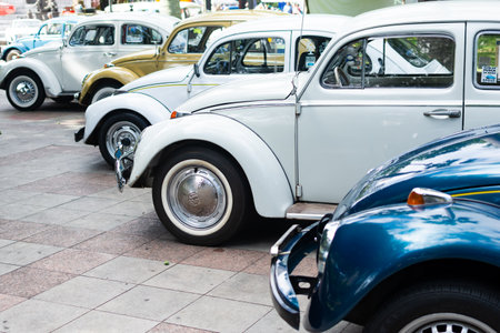 Salvador, Bahia, Brazil - November 1, 2014: Several Volkswagen cars, model Beetle, lined up at an exhibition of vintage cars in the city of Salvador, Bahia.のeditorial素材