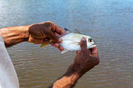 Hands holding a fish against the river in the background. Sea food.の写真素材