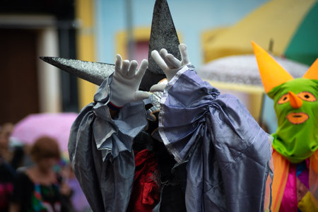 Maragogipe, Bahia, Brazil - February 11, 2024: People dressed in different styles are seen having fun during the carnival in the city of Maragogipe, Bahia.のeditorial素材