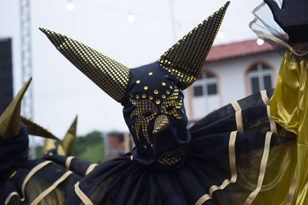 Maragogipe, Bahia, Brazil - February 11, 2024: People dressed in Venice carnival style are seen during the carnival in the city of Maragogipe, in Bahia.のeditorial素材