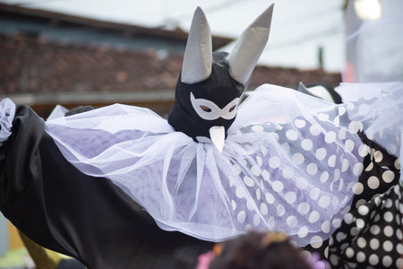 Maragogipe, Bahia, Brazil - February 11, 2024: People wearing Venetian carnival-style masks are seen during the carnival in the city of Maragogipe, in Bahia.のeditorial素材