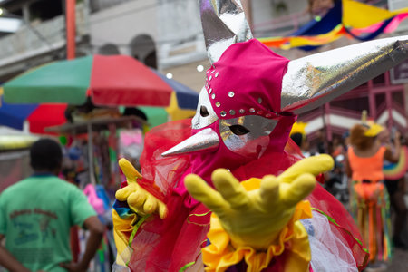 Maragogipe, Bahia, Brazil - February 11, 2024: People dressed in Venice carnival style are seen during the carnival in the city of Maragogipe, in Bahia.のeditorial素材