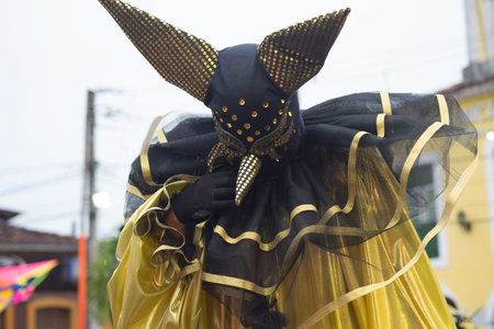 Maragogipe, Bahia, Brazil - February 11, 2024: People dressed in Venice carnival style are seen during the carnival in the city of Maragogipe, in Bahia.のeditorial素材