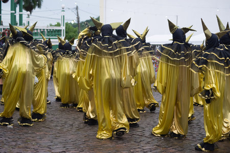 Maragogipe, Bahia, Brazil - February 11, 2024: Group of people in costumes play fun games during the carnival in the city of Maragogipe, Bahia.のeditorial素材