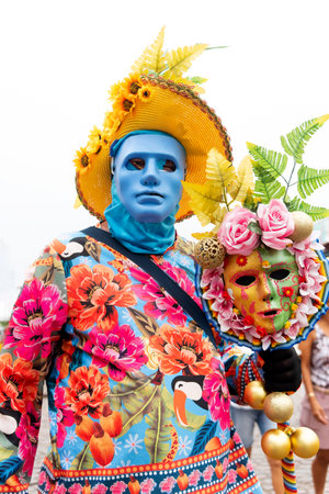Maragogipe, Bahia, Brazil - February 11, 2024: People wearing costumes are seen parading during the carnival in the city of Maragogipe in Bahia.のeditorial素材