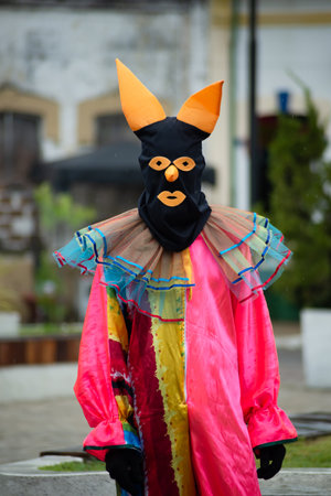 Maragogipe, Bahia, Brazil - February 11, 2024: People dressed in different styles are seen having fun during the carnival in the city of Maragogipe, Bahia.のeditorial素材