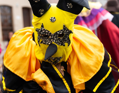 Maragogipe, Bahia, Brazil - February 11, 2024: People are seen wearing costumes and masks during the carnival in the city of Maragogipe in Bahia.のeditorial素材