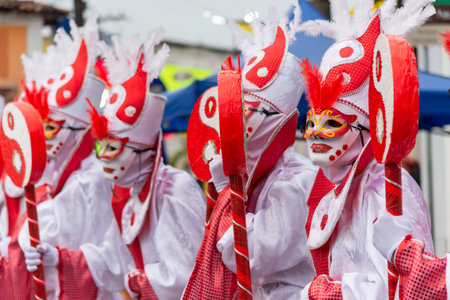 Maragogipe, Bahia, Brazil - February 11, 2024: People in costumes are seen during carnival in the city of Maragogipe in Bahia.のeditorial素材
