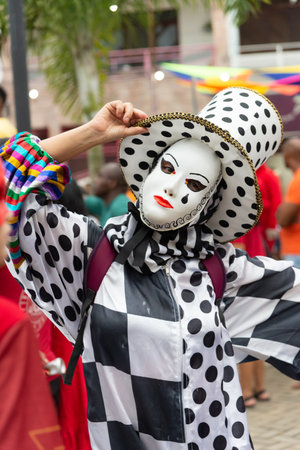 Maragogipe, Bahia, Brazil - February 11, 2024: People in costumes are seen parading and playing during the carnival in the city of Maragogipe in Bahia.のeditorial素材