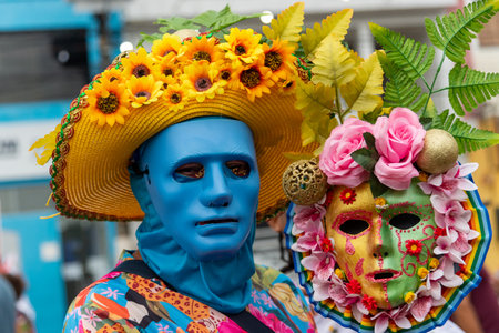 Maragogipe, Bahia, Brazil - February 11, 2024: People have fun dressed up during carnival in the city of Maragogipe in Bahia.のeditorial素材
