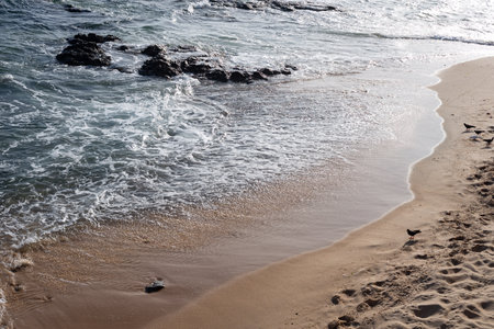 Edge of a beach with rocks and small foaming waves. Sunny day, calm sea water.の写真素材