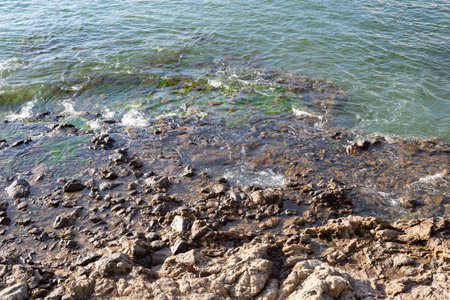 Dark sea rocks. Strong sunny day. Preserved nature.の写真素材