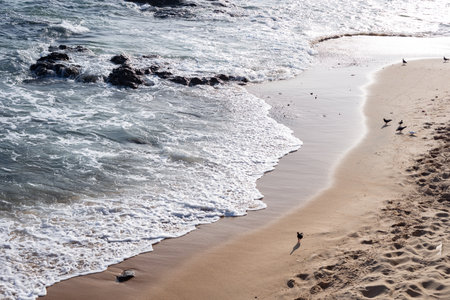 Small waves on the edge of a beach. Sunny day, calm sea water.の写真素材